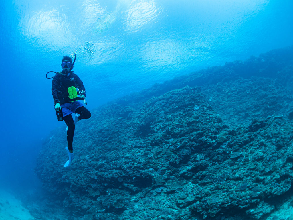沖縄 ファンダイビング