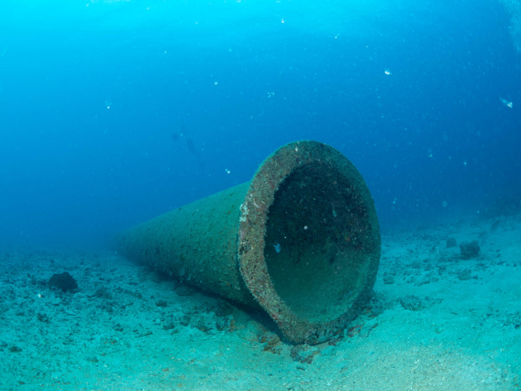 沖縄 ファンダイビング