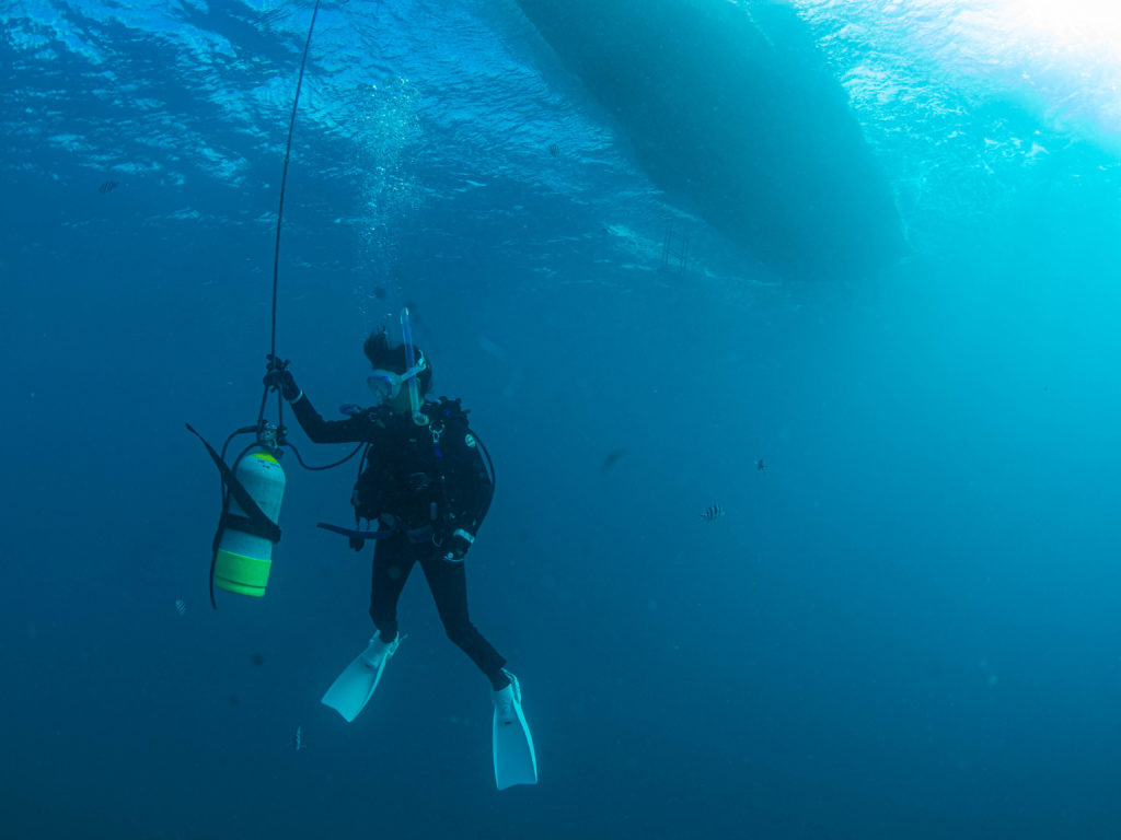 恩納村 ダイビングライセンス講習