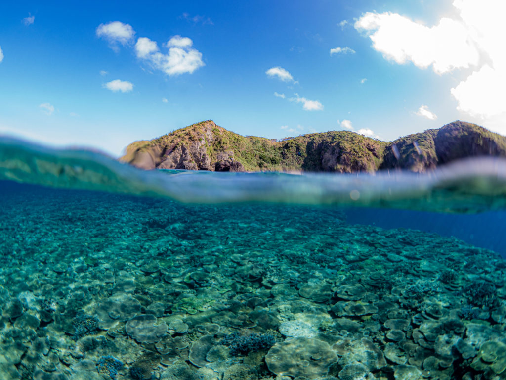 慶良間　ダイビング