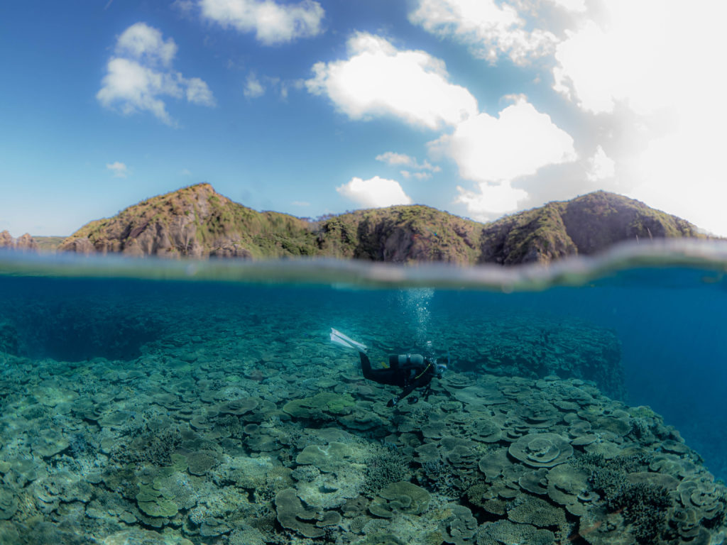 慶良間　ダイビング
