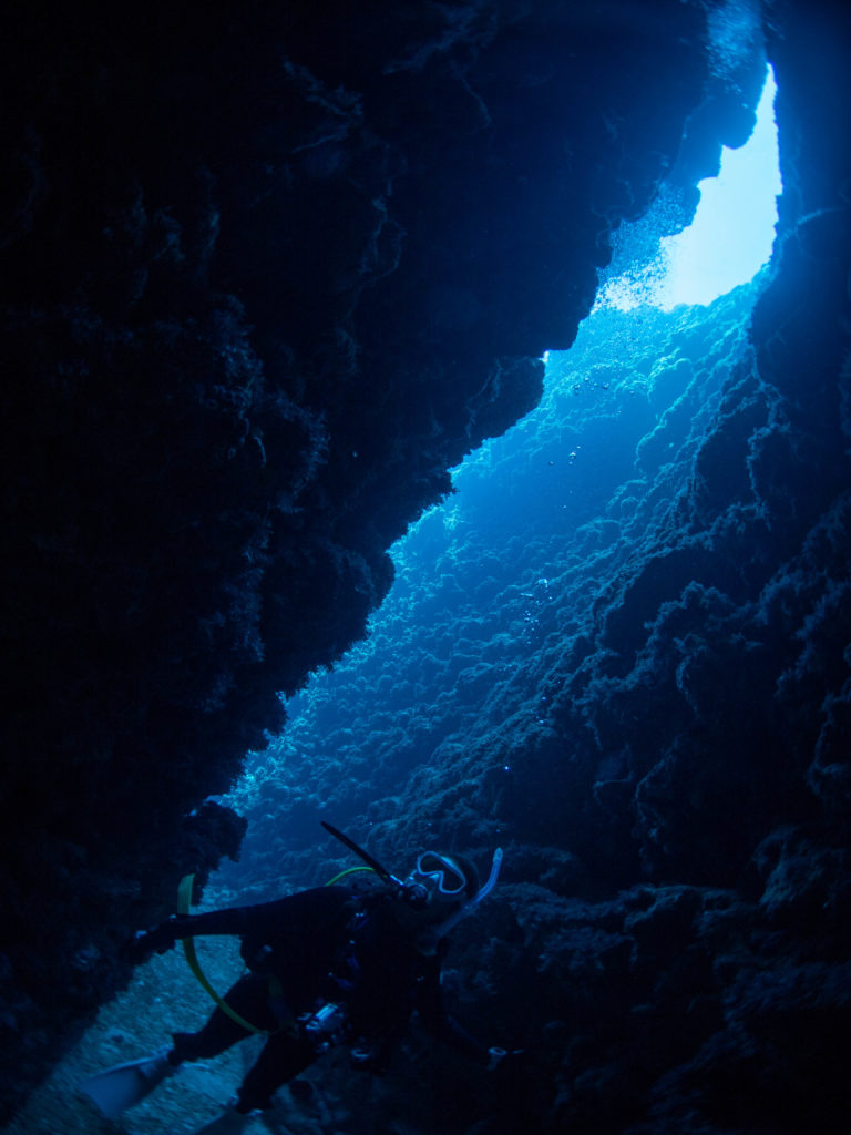 慶良間　ダイビング