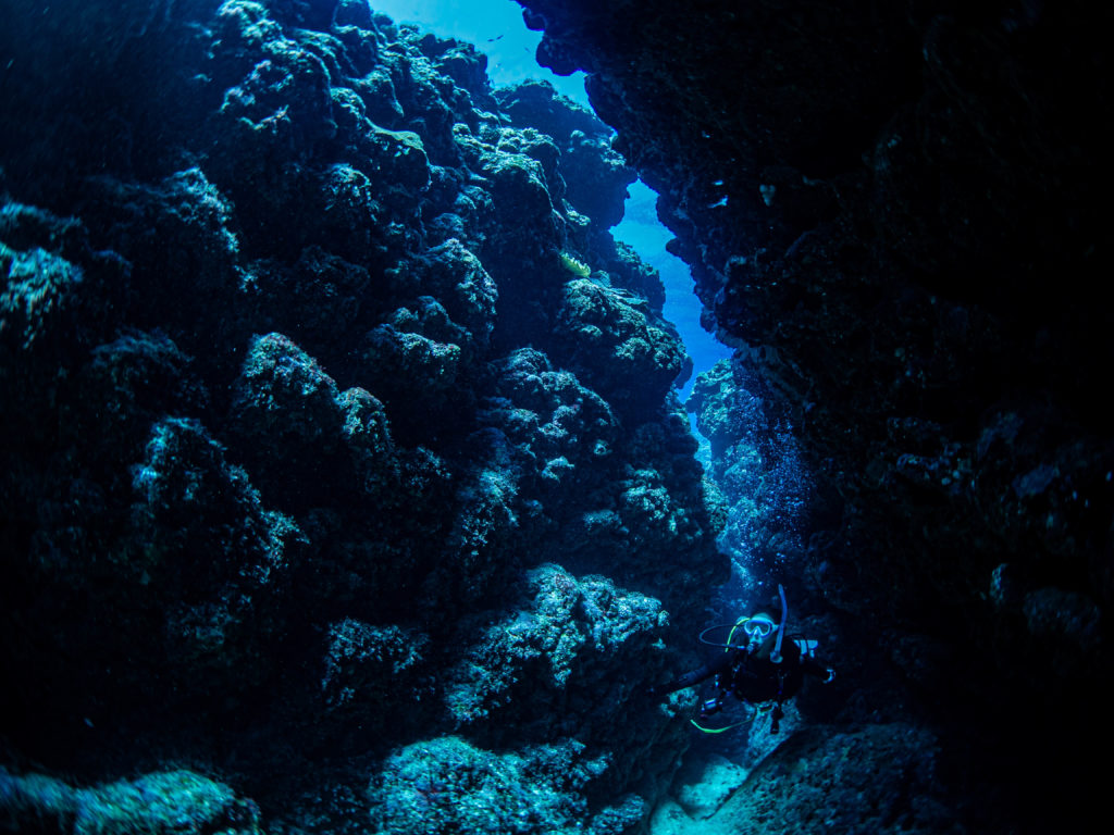 慶良間　ダイビング