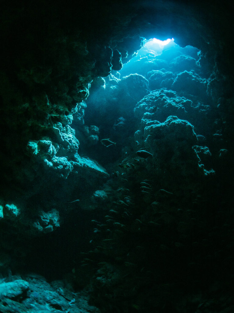 慶良間　ダイビング