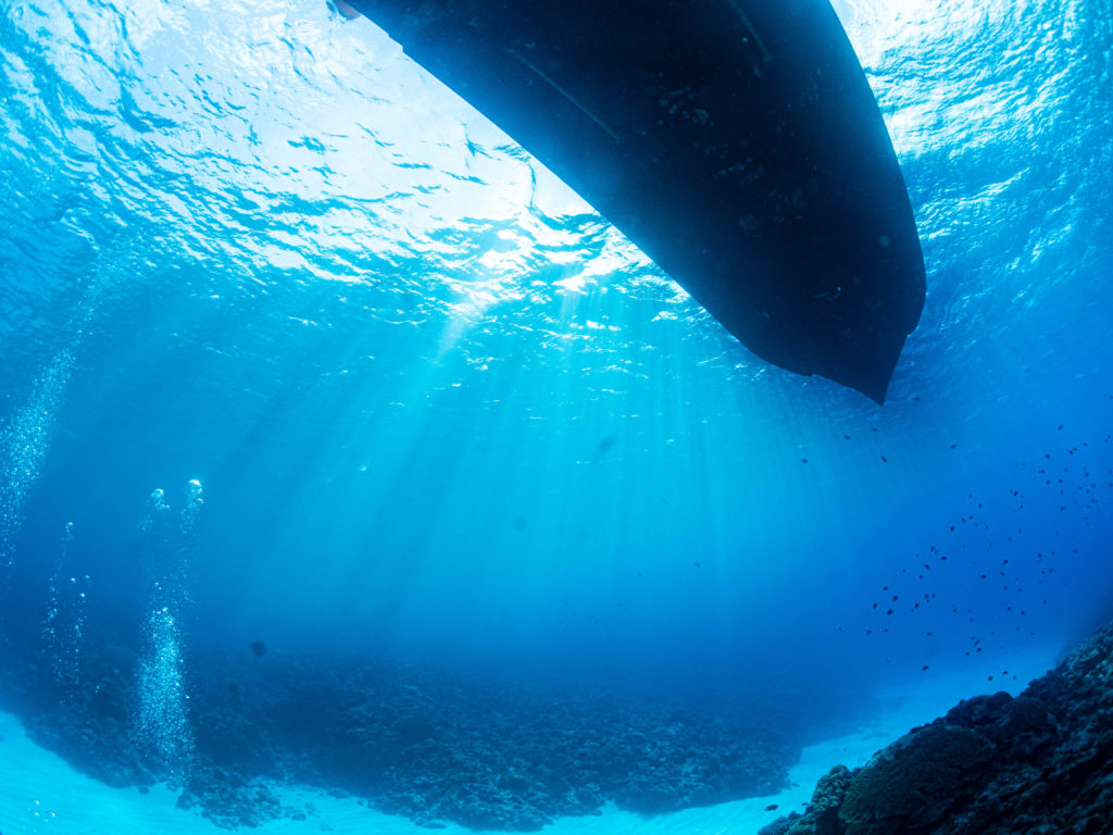 慶良間 ダイビングライセンス