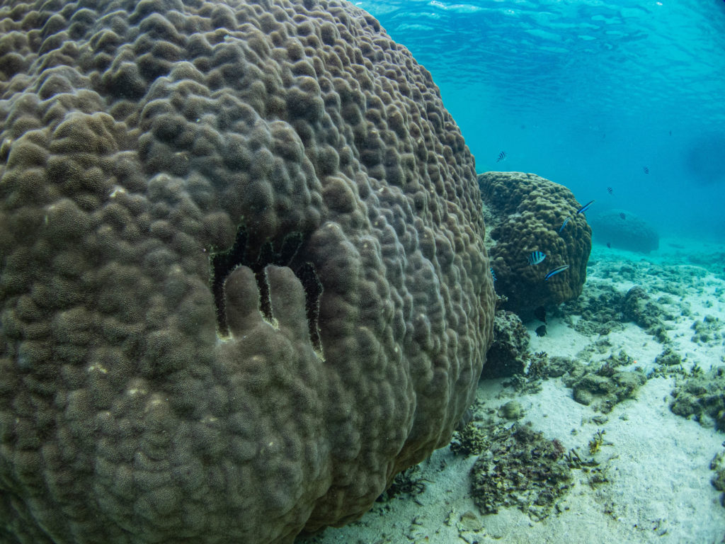 沖縄　体験ダイビング