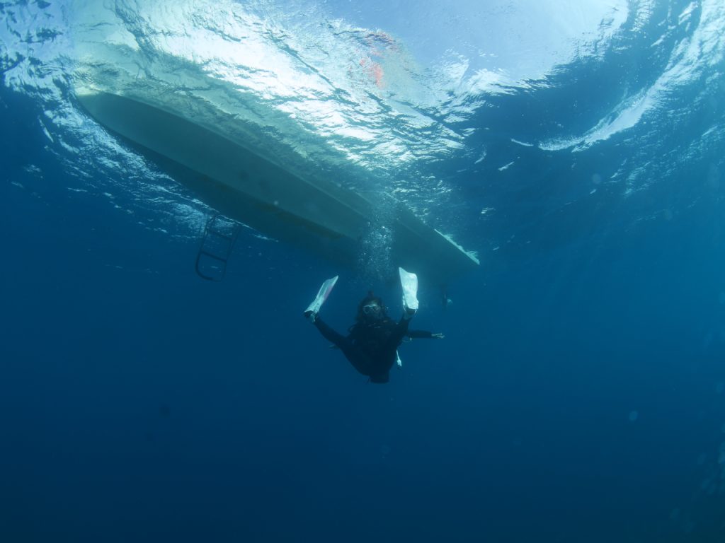 GOTO ファンダイビング