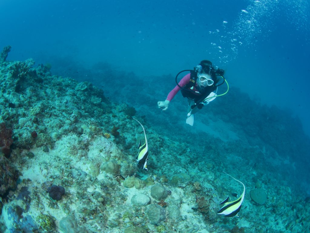 GOTO ファンダイビング