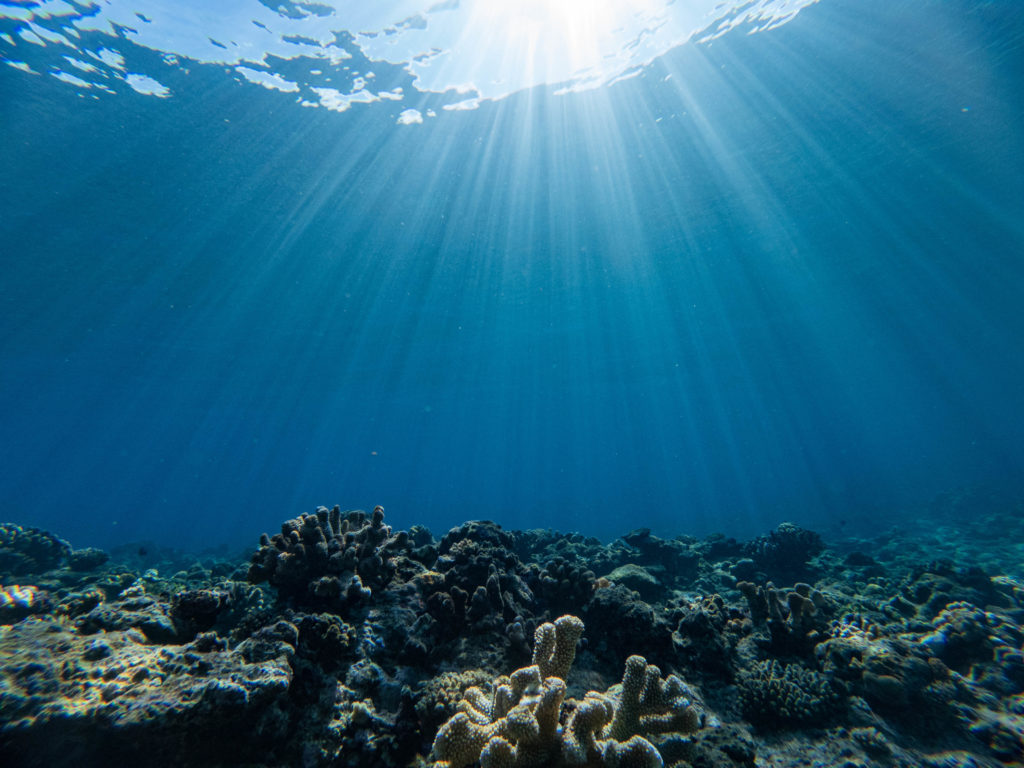 沖縄 体験ダイビング