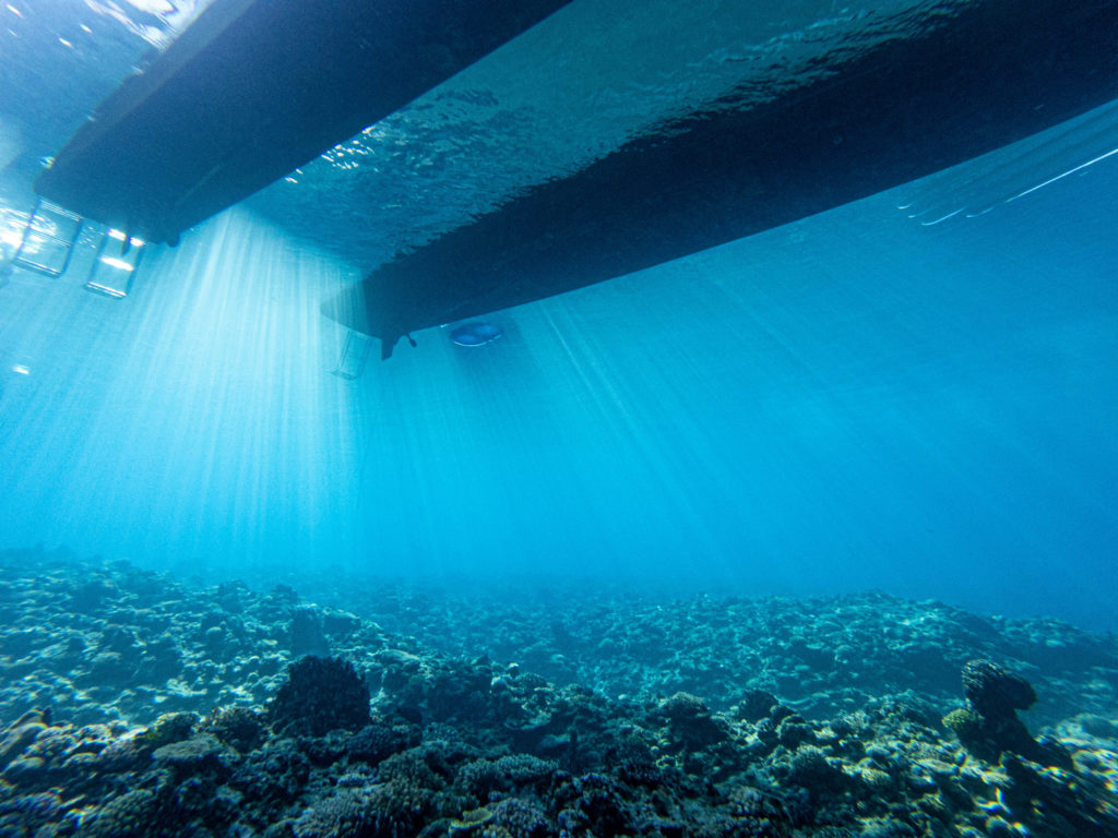 沖縄 体験ダイビング
