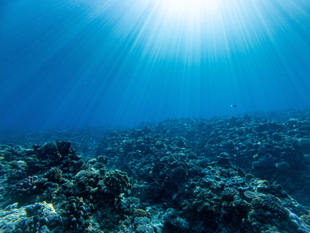 沖縄 体験ダイビング