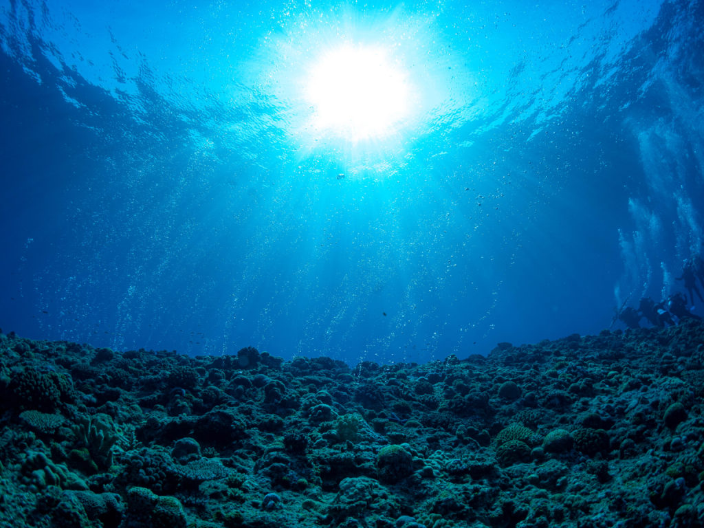 万座 ファンダイビング