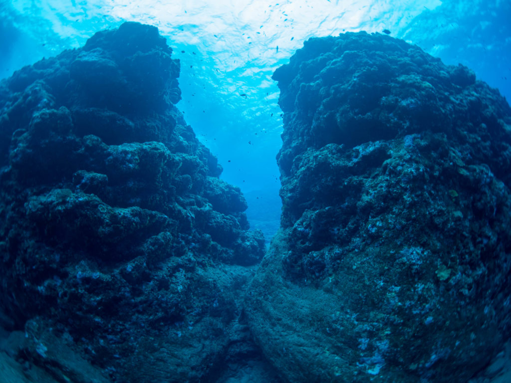 慶良間　ダイビング