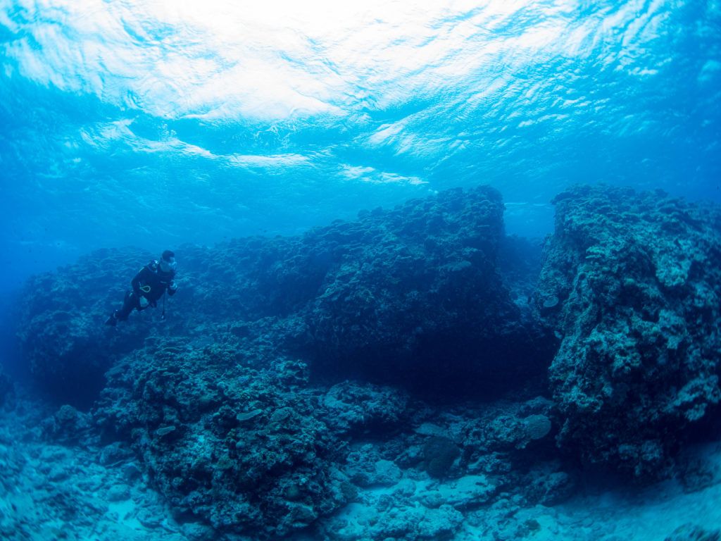 慶良間　ダイビング