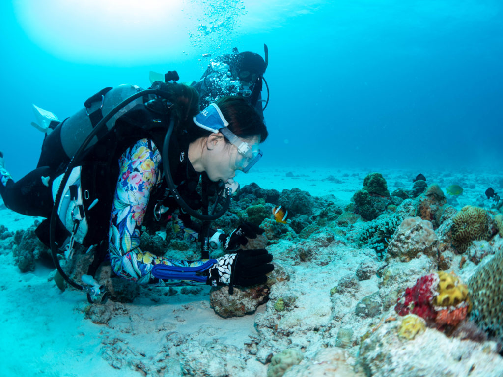 水納島　ダイビング