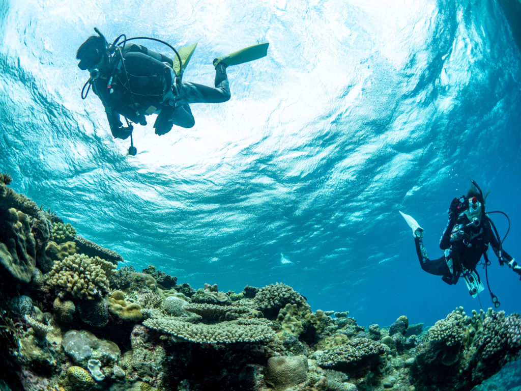 水納島　ダイビング