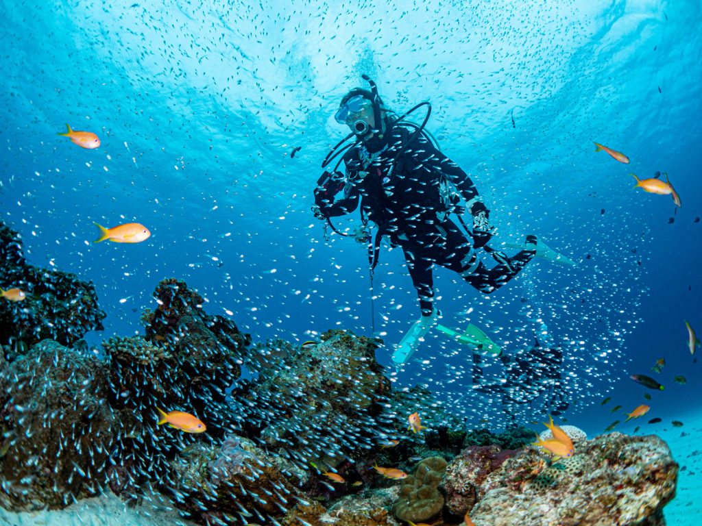 水納島　ダイビング