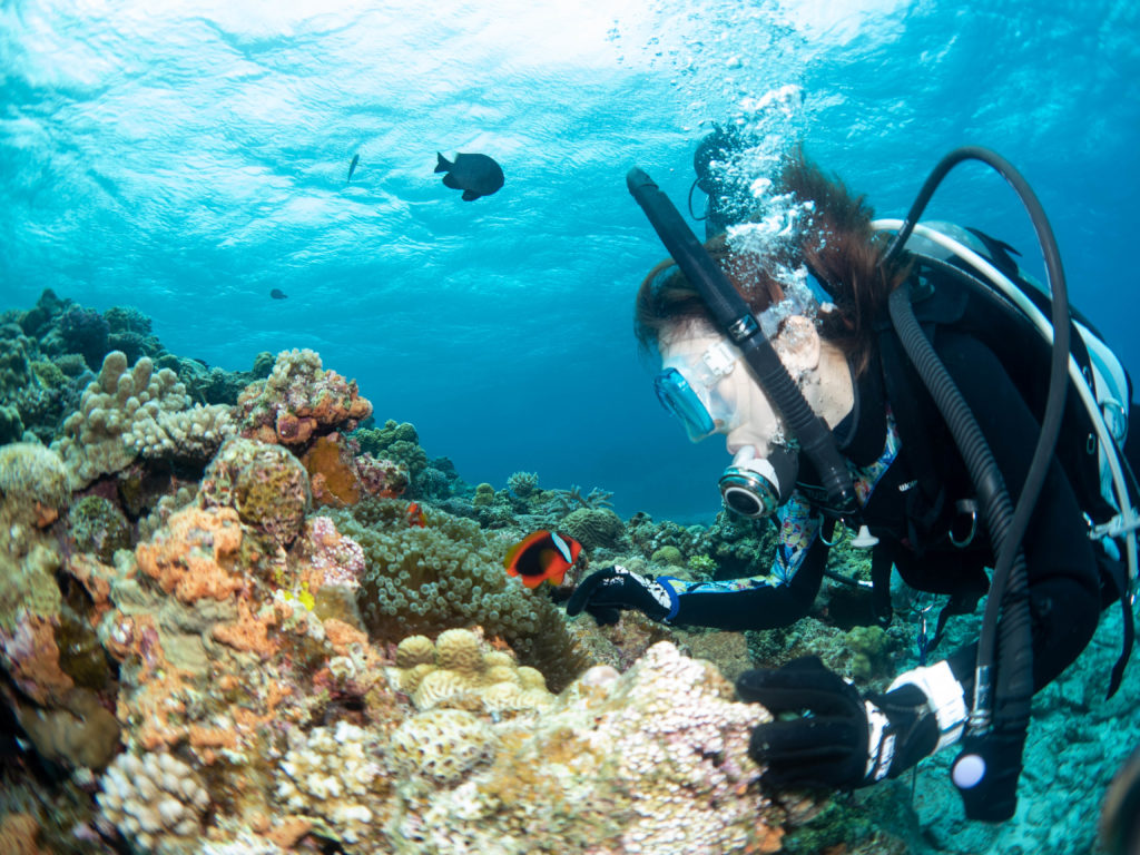 水納島　ダイビング