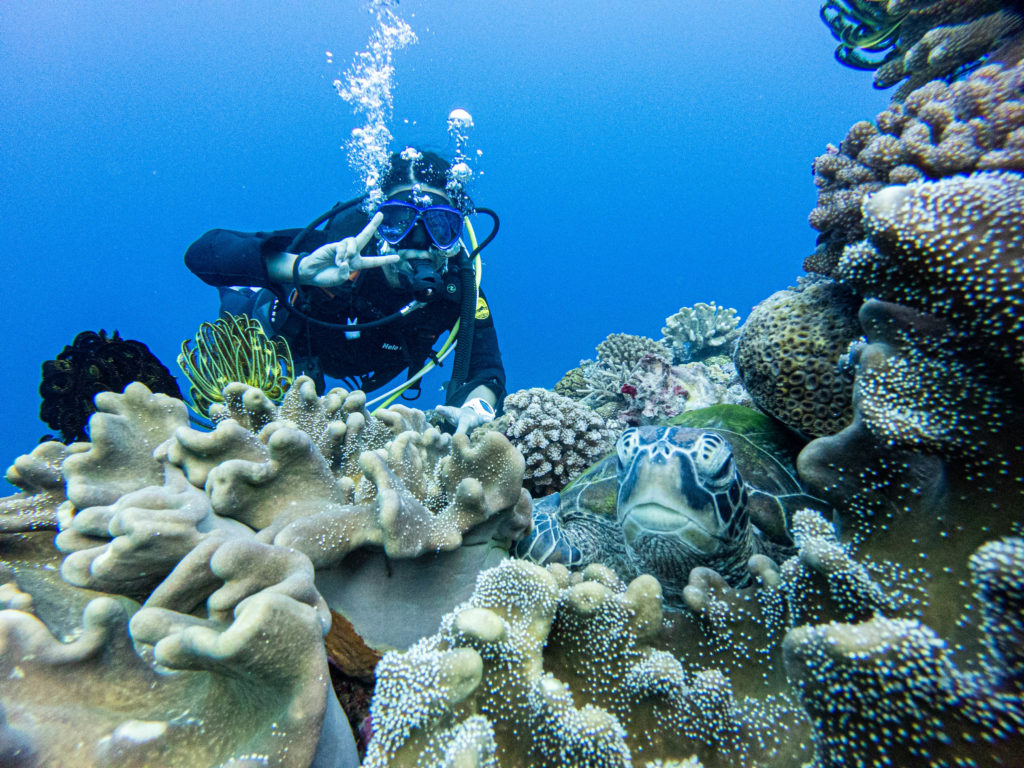 万座 ダイビング