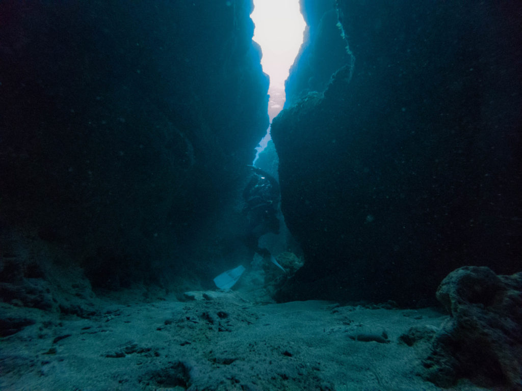 国頭村　ダイビング