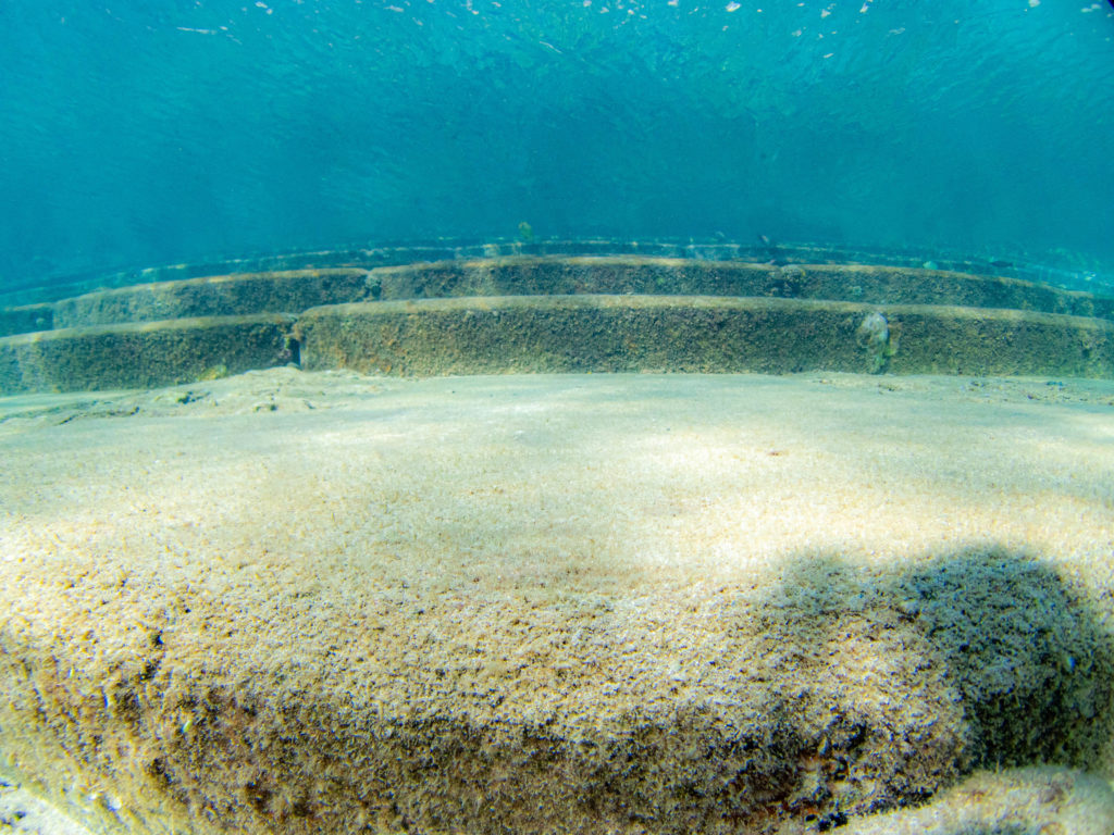沖縄北部 ダイビング