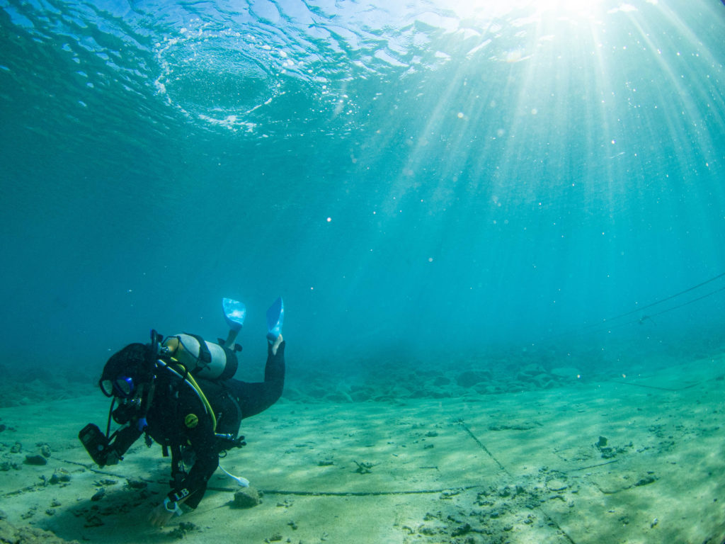 沖縄北部 ダイビング