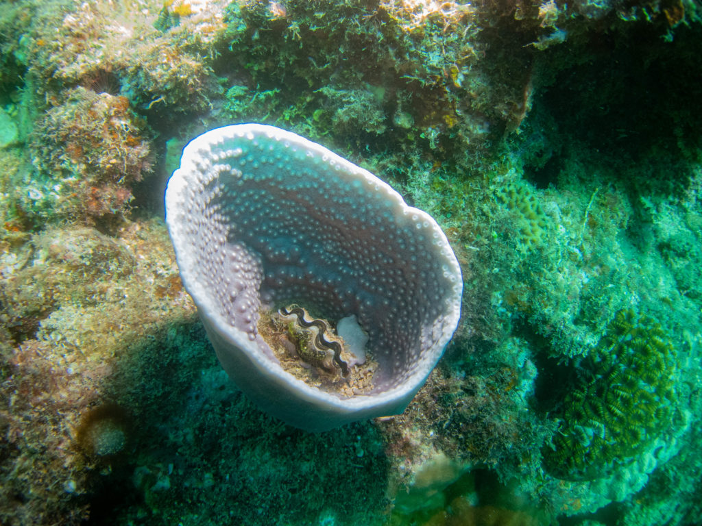 水釜 ダイビング