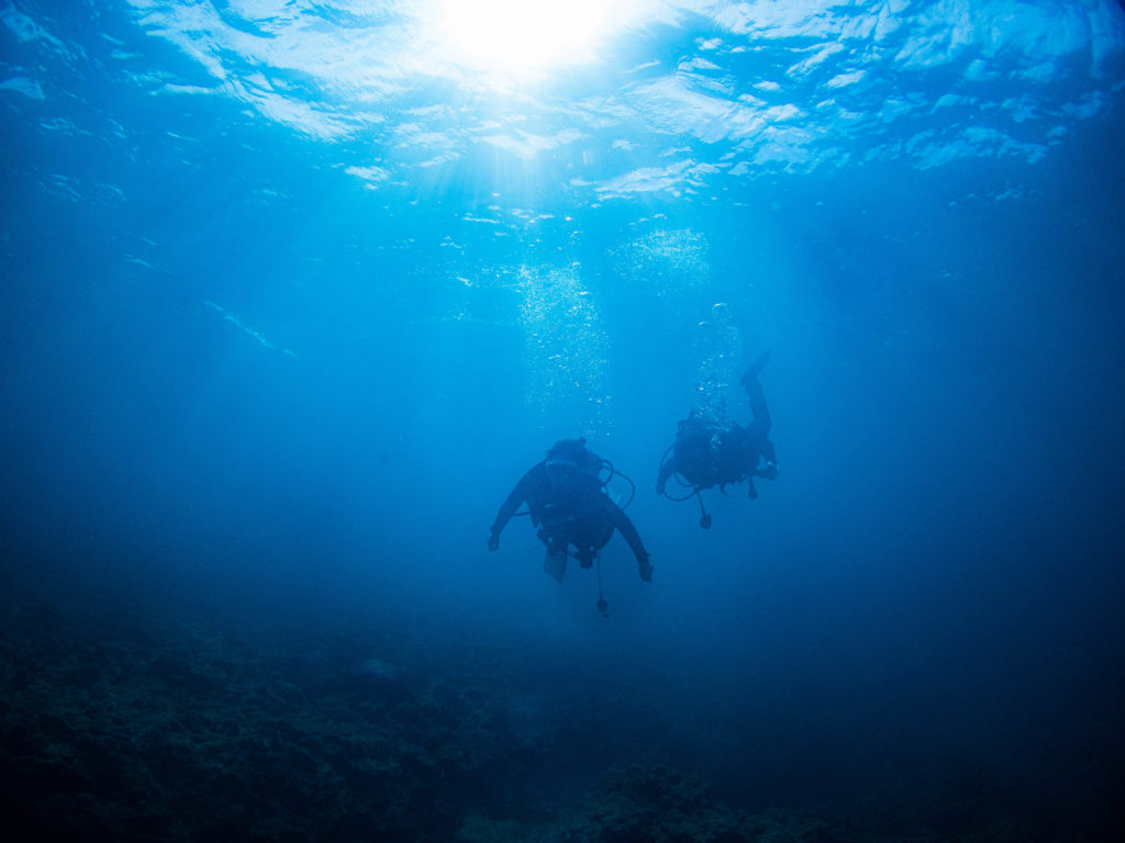 沖縄 ダイビング