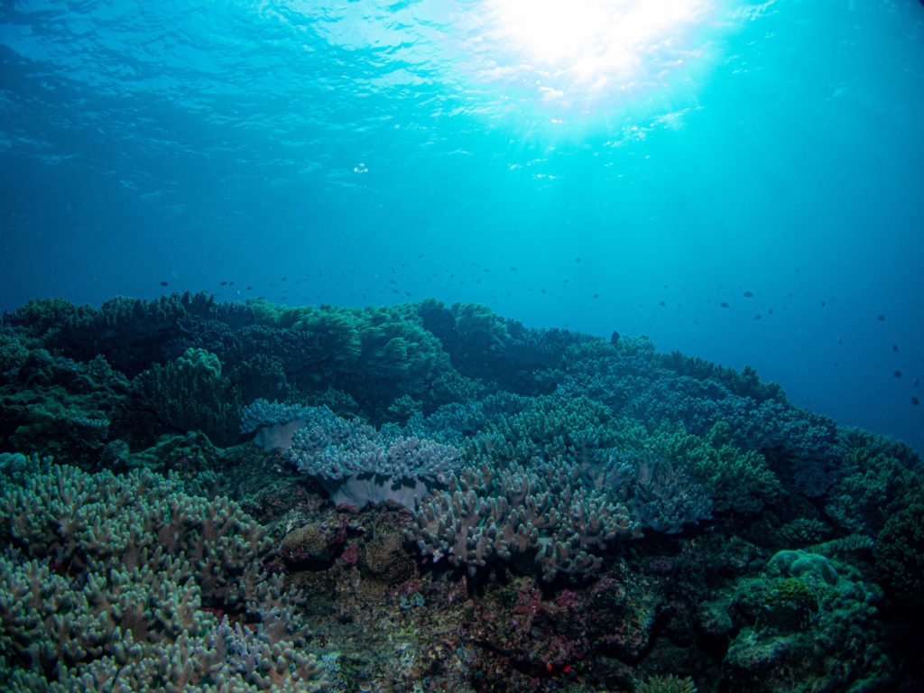水釜 ダイビング