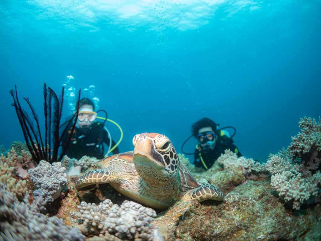 沖縄 ダイビング