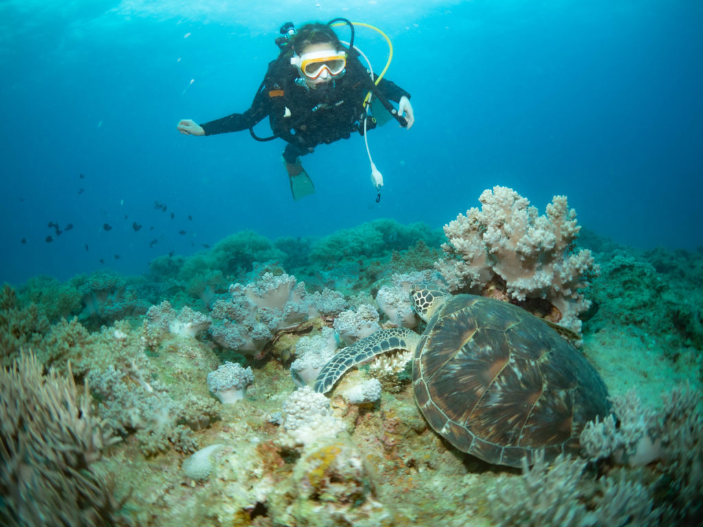 沖縄 ダイビング