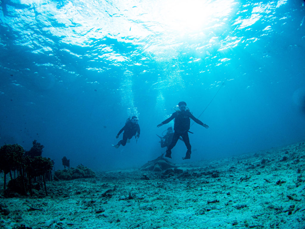 沖縄 体験ダイビング