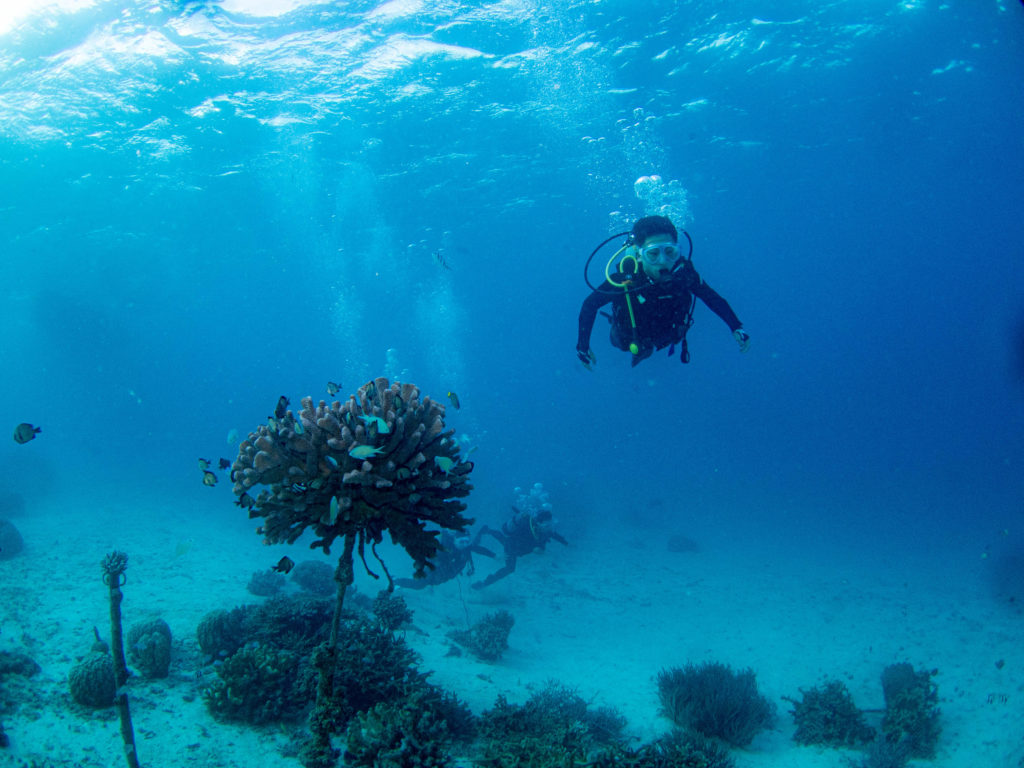 恩納村 体験ダイビング