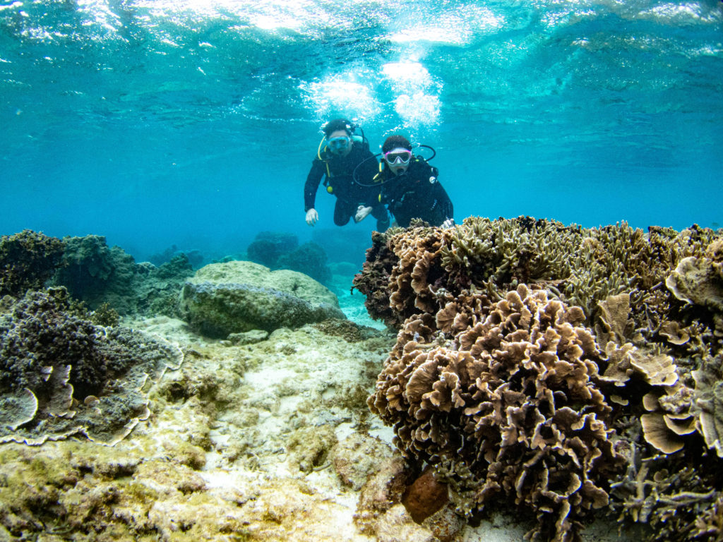 沖縄　体験ダイビング