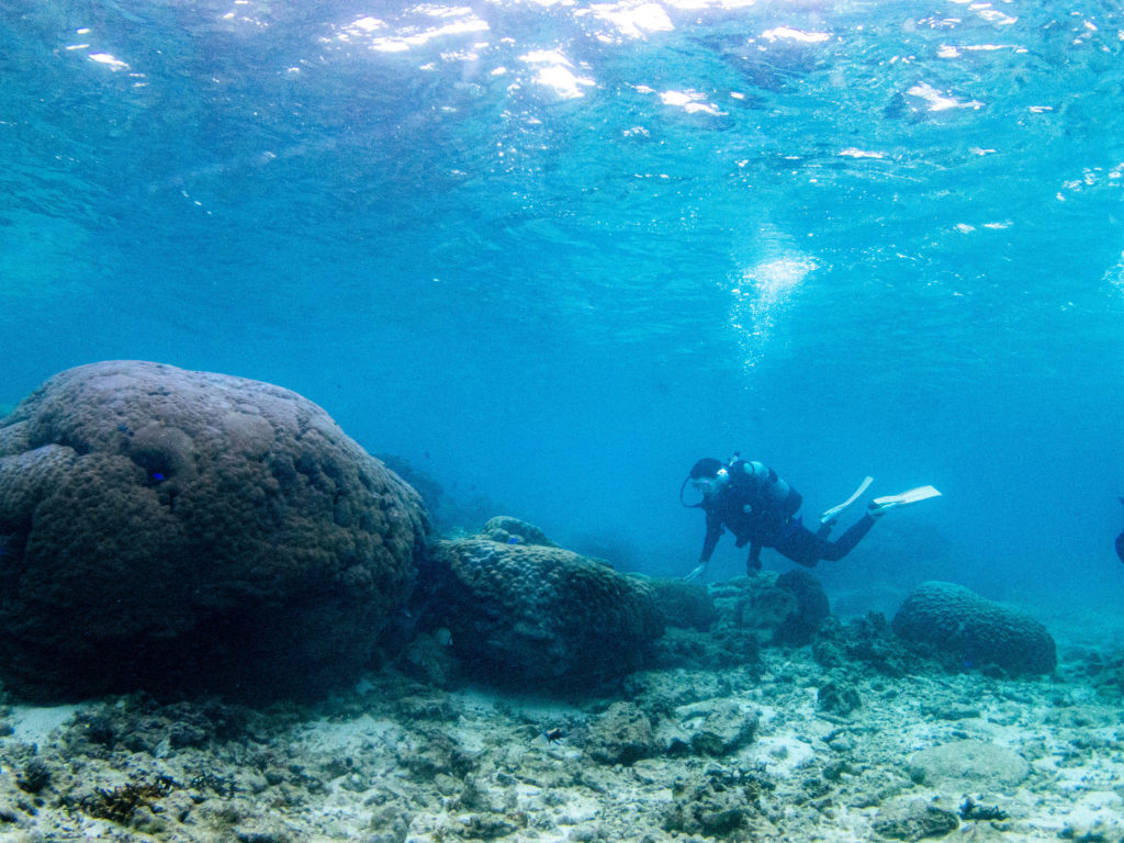 沖縄　体験ダイビング