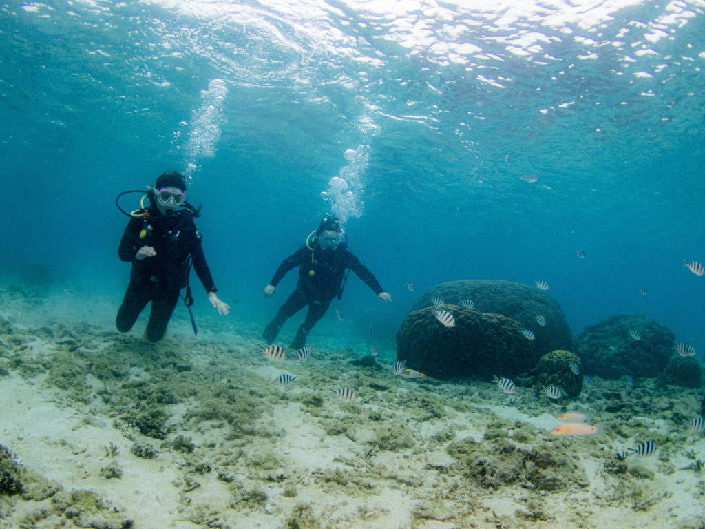 沖縄　体験ダイビング