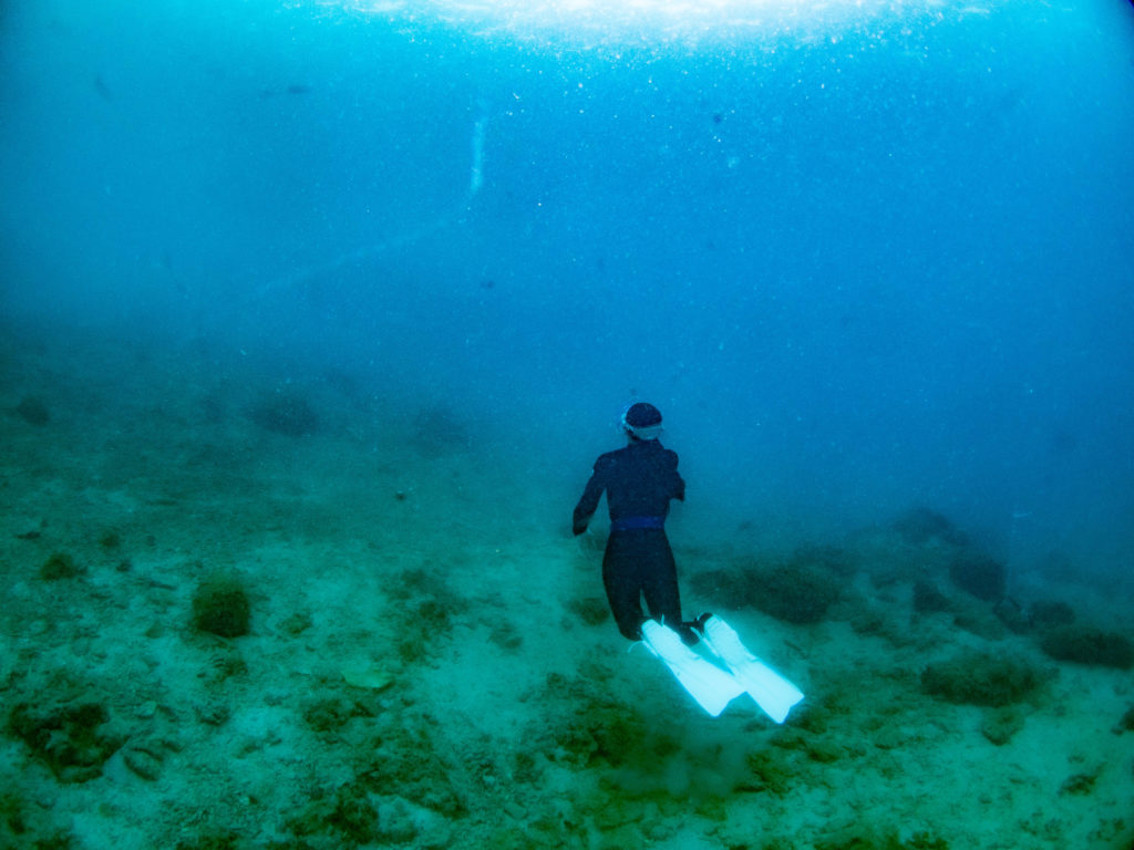沖縄　スキンダイビング