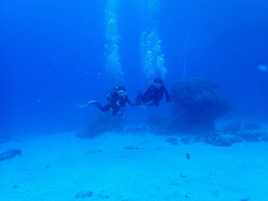 沖縄　ダイビング