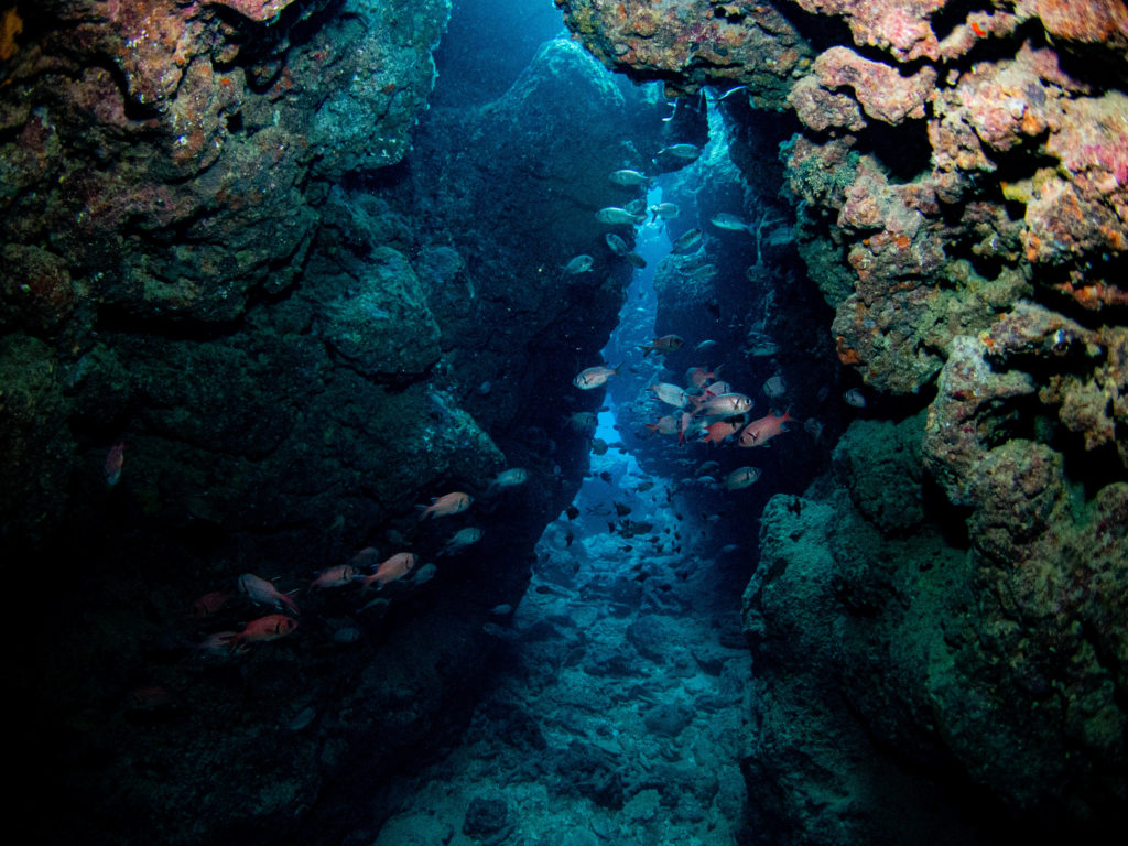 沖縄　ダイビングライセンス