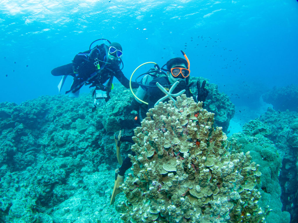 沖縄　ファンダイビング