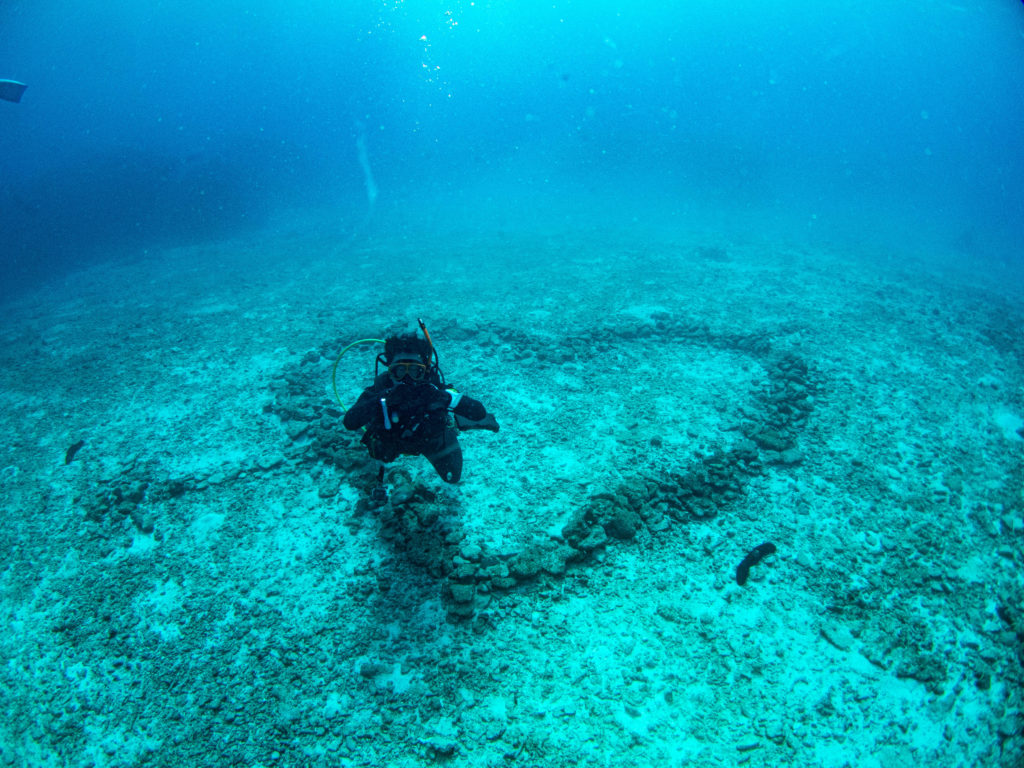 沖縄　ファンダイビング