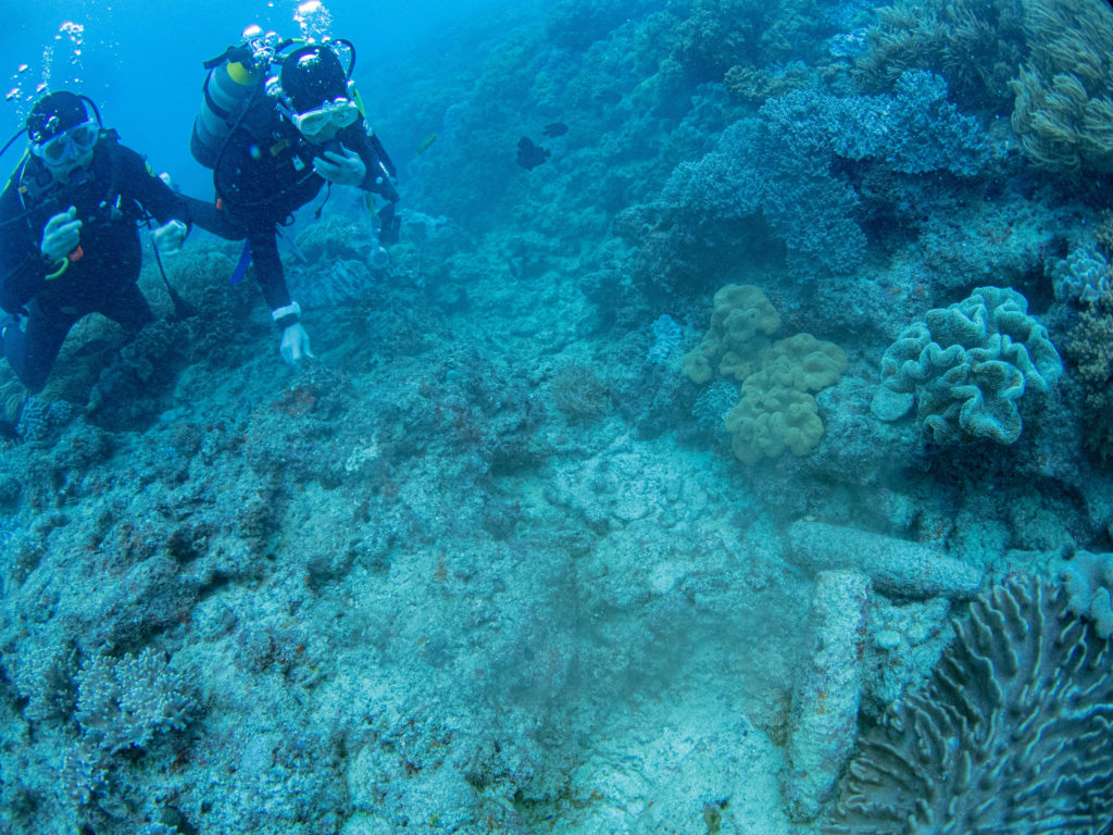 沖縄　ダイビング