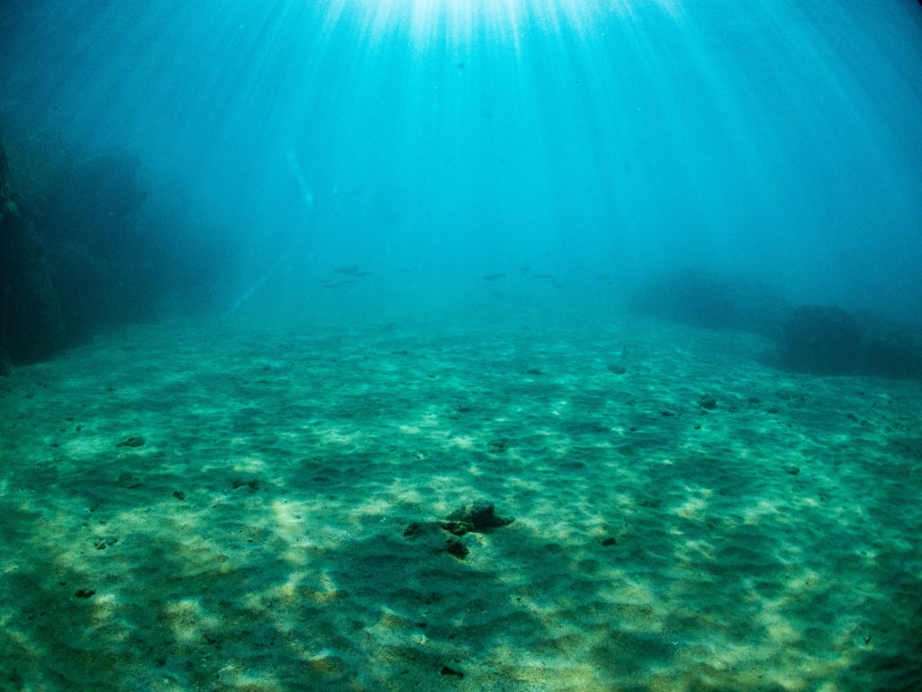 沖縄　ビーチクリーン