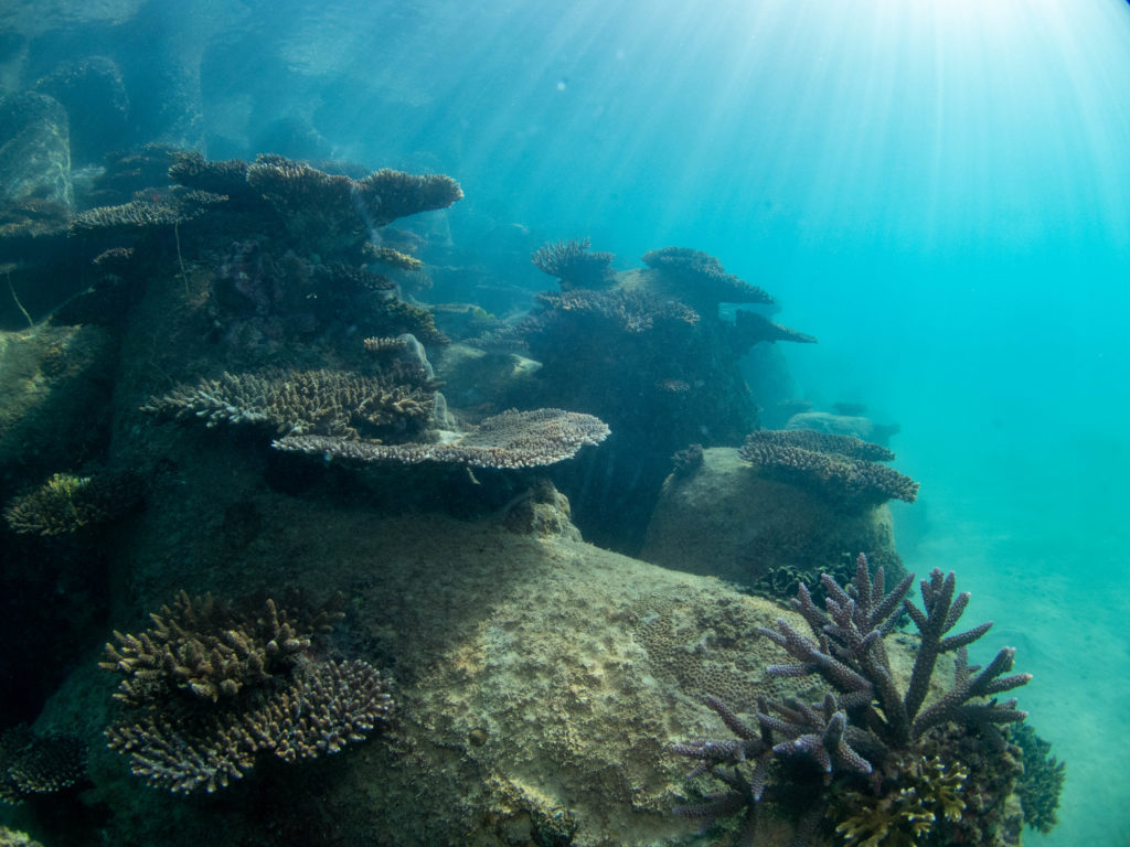 沖縄　ビーチクリーン