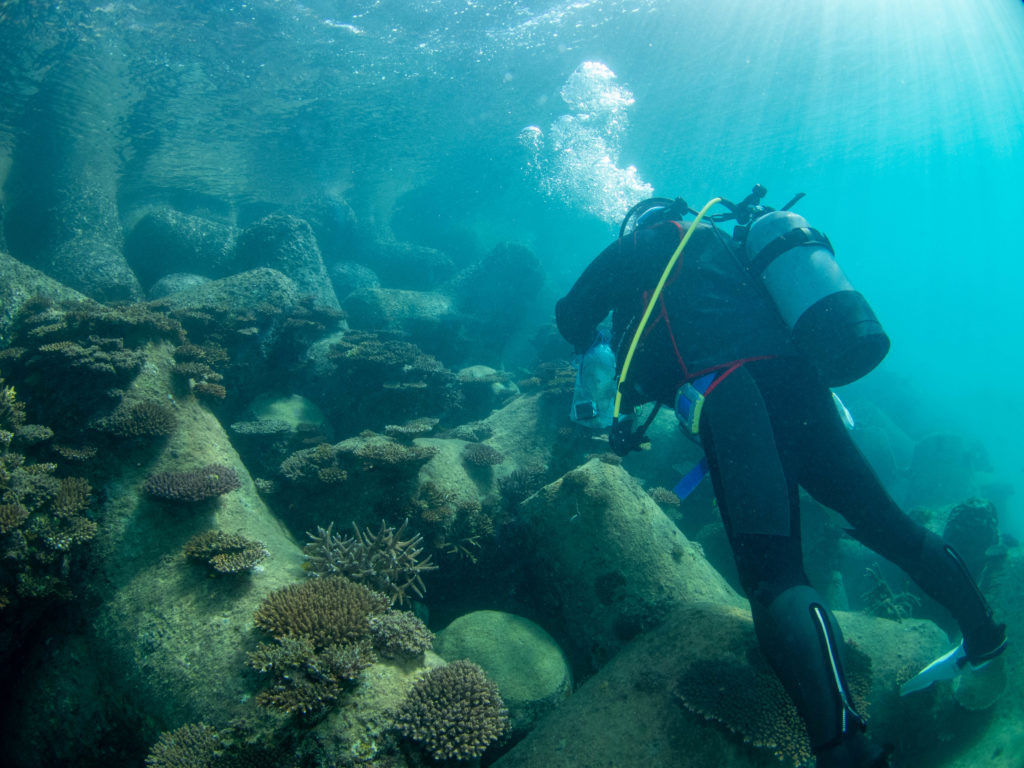 沖縄　ビーチクリーン