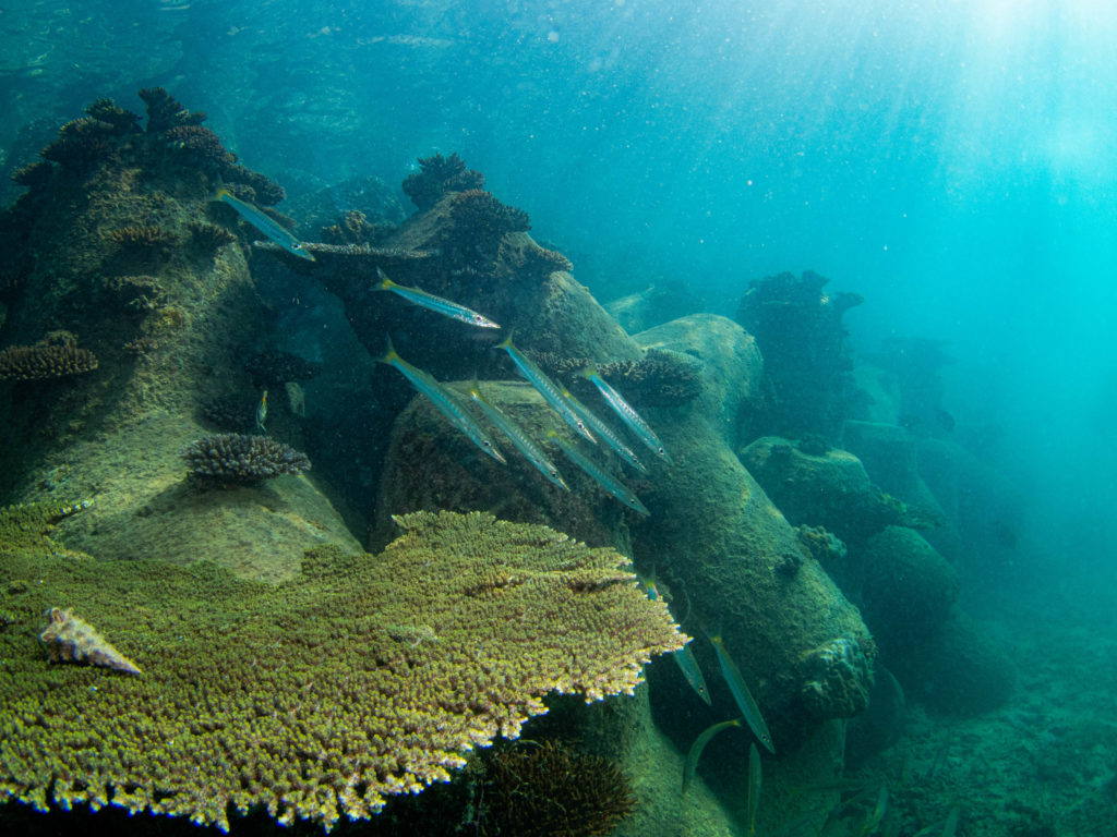 沖縄　ビーチクリーン