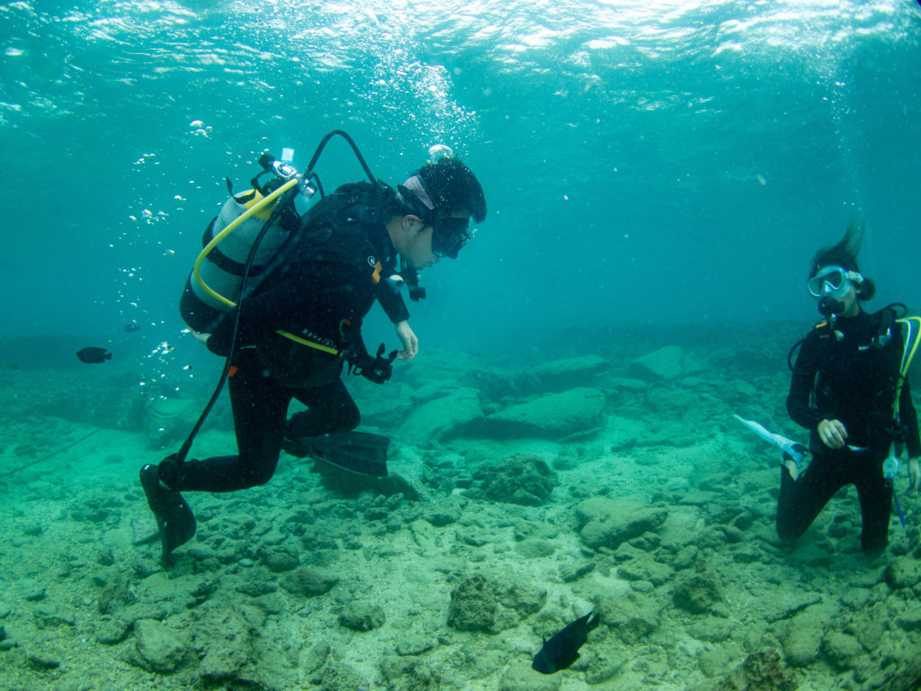 沖縄 ダイビングライセンス取得