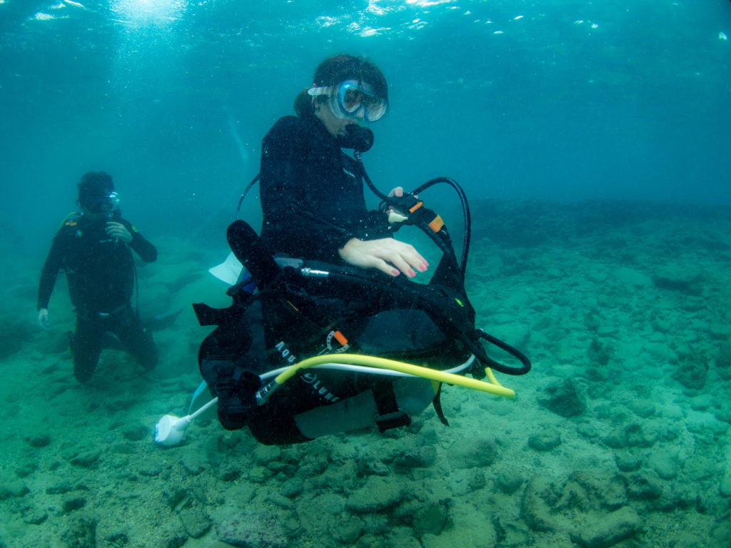 沖縄 ダイビングライセンス取得