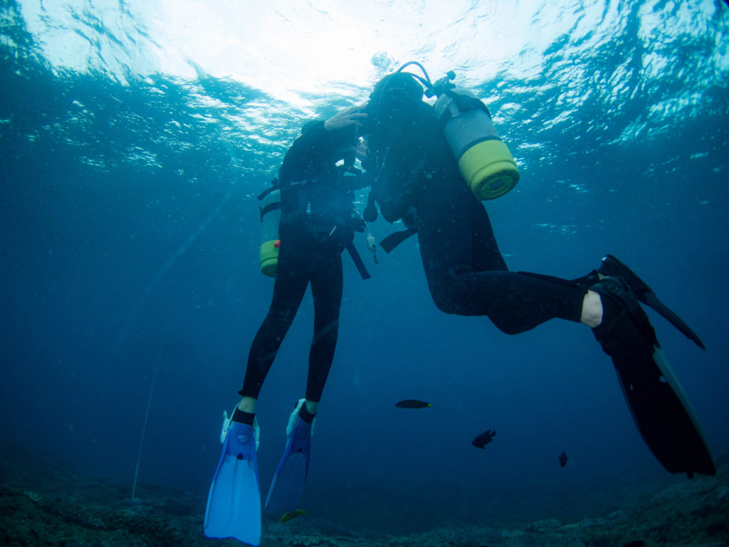 ダイビングライセンス取得 沖縄