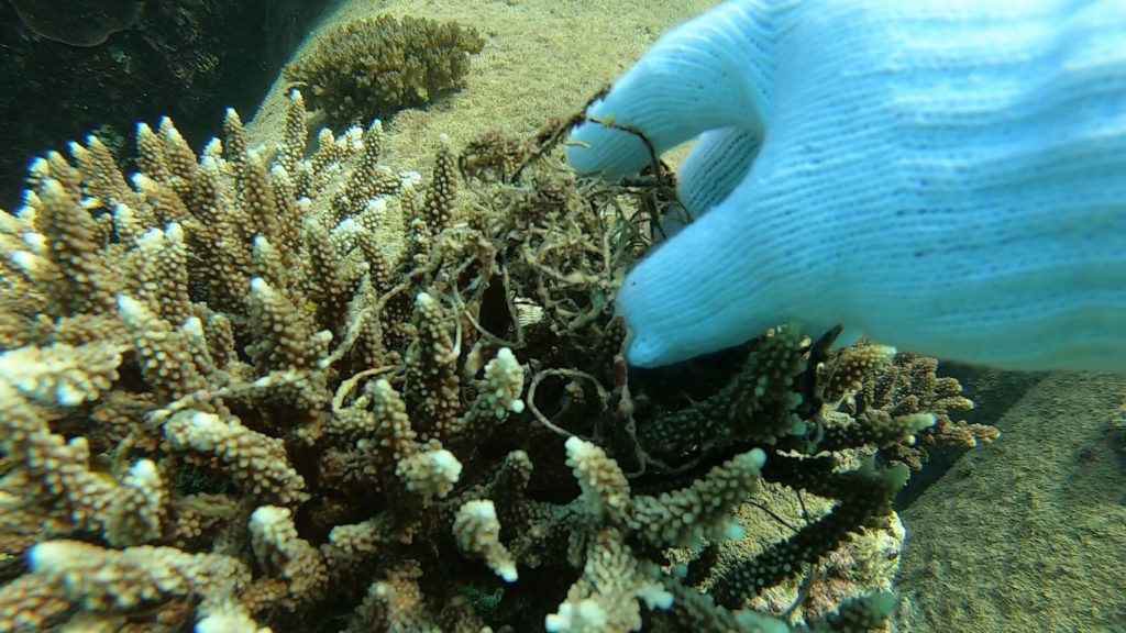 沖縄　ビーチクリーン